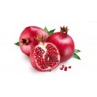 Anar