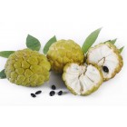 CUSTARD APPLE